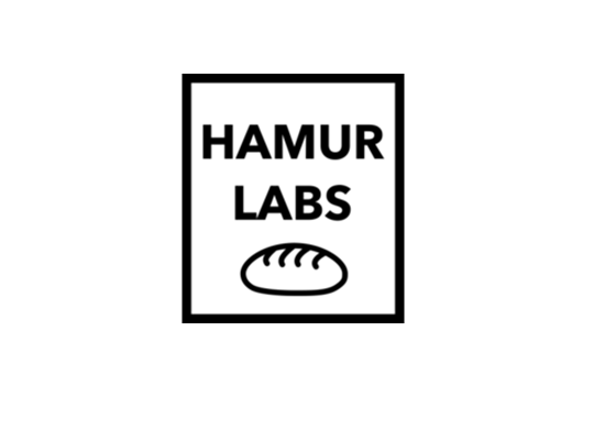 Hamurlabs